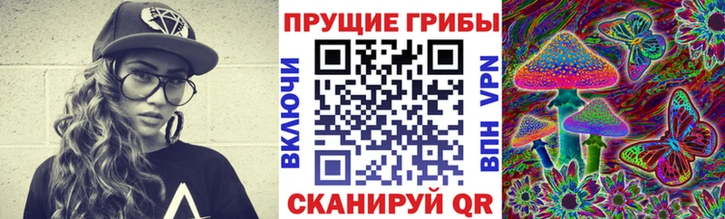 Псилоцибиновые грибы Magic Shrooms  хочу наркоту  Георгиевск 